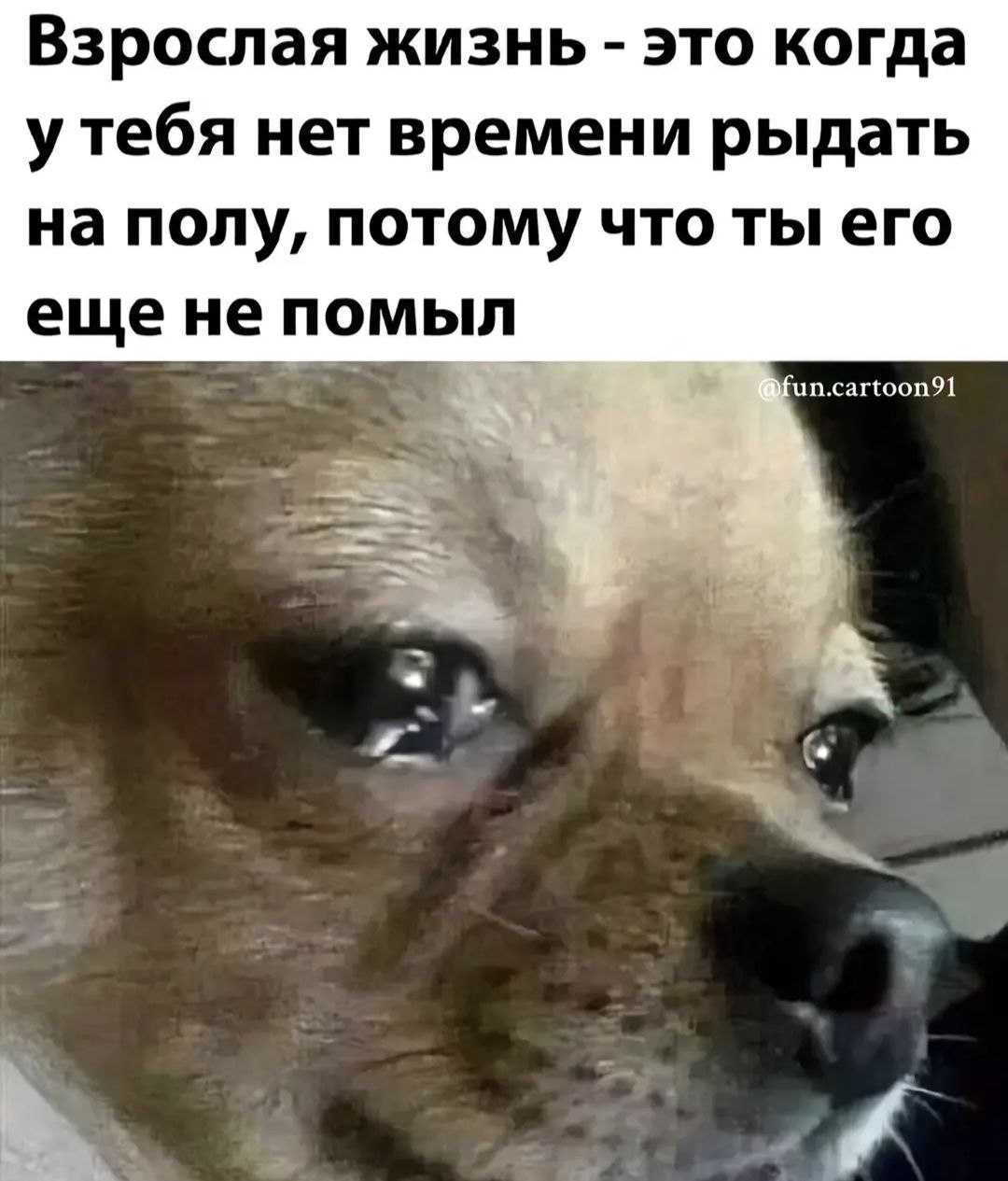 https://upforme.ru/uploads/001c/81/18/2/559236.jpg