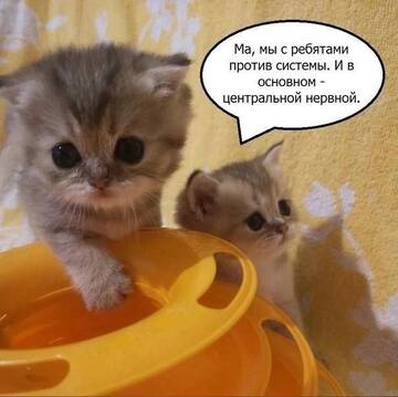 https://upforme.ru/uploads/001c/82/d0/1104/t163213.jpg