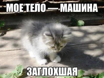 https://upforme.ru/uploads/001c/82/d0/1104/t633344.jpg