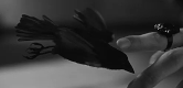https://upforme.ru/uploads/001c/82/d0/316/110424.gif