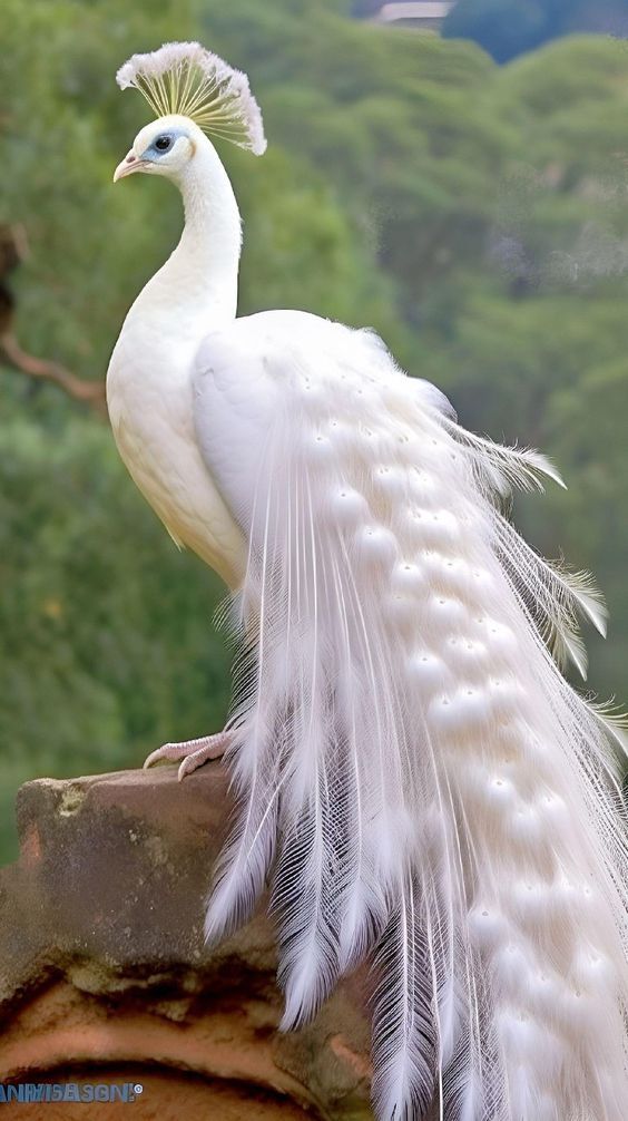 https://upforme.ru/uploads/001c/82/f2/106/975824.jpg
