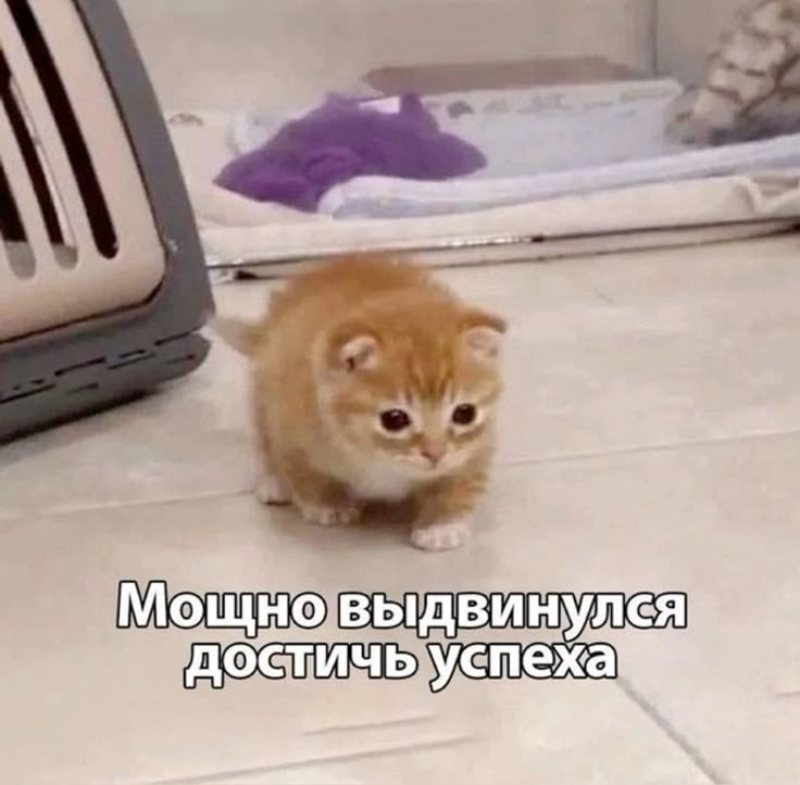 https://upforme.ru/uploads/001c/82/f2/114/29319.png