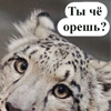 https://upforme.ru/uploads/001c/82/f2/13/248323.png