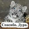 https://upforme.ru/uploads/001c/82/f2/13/262197.png