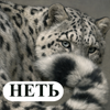 https://upforme.ru/uploads/001c/82/f2/13/272701.png