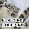 https://upforme.ru/uploads/001c/82/f2/13/381647.png