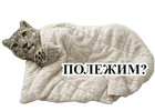 https://upforme.ru/uploads/001c/82/f2/13/604074.png