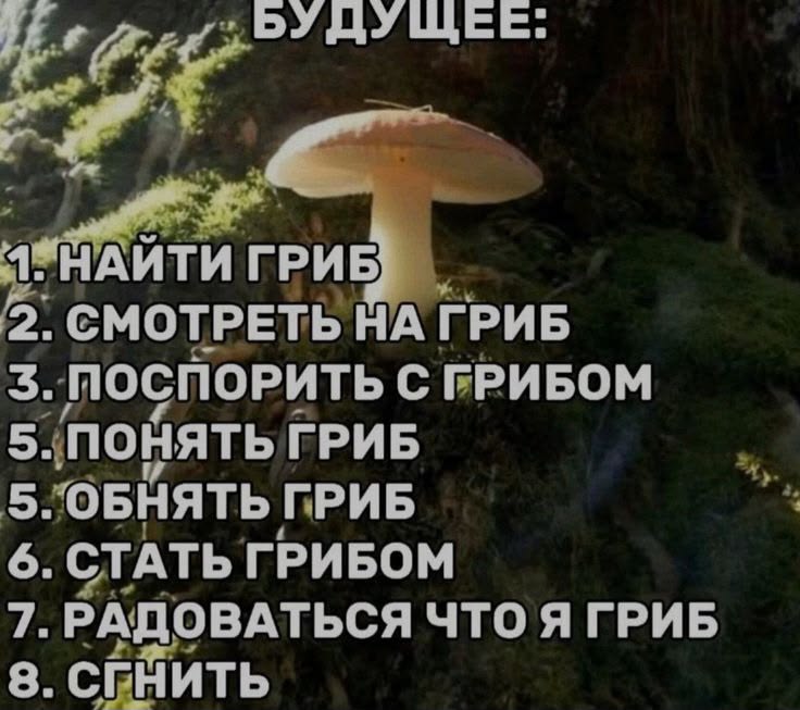 https://upforme.ru/uploads/001c/82/f2/165/201857.jpg