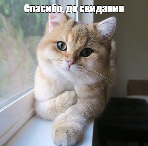 https://upforme.ru/uploads/001c/82/f2/211/139158.jpg