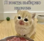 https://upforme.ru/uploads/001c/82/f2/44/129123.webp
