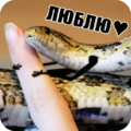 https://upforme.ru/uploads/001c/82/f2/45/806947.png