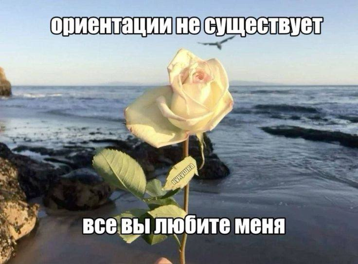 https://upforme.ru/uploads/001c/82/f2/83/266759.png