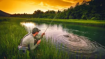 https://upforme.ru/uploads/001c/83/34/2/t474539.webp