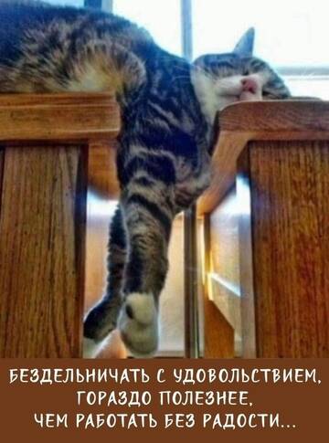 https://upforme.ru/uploads/001c/83/41/3/t250080.jpg