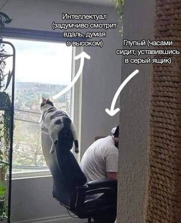 https://upforme.ru/uploads/001c/83/41/3/t955349.jpg