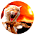 https://upforme.ru/uploads/001c/84/93/3/442403.gif