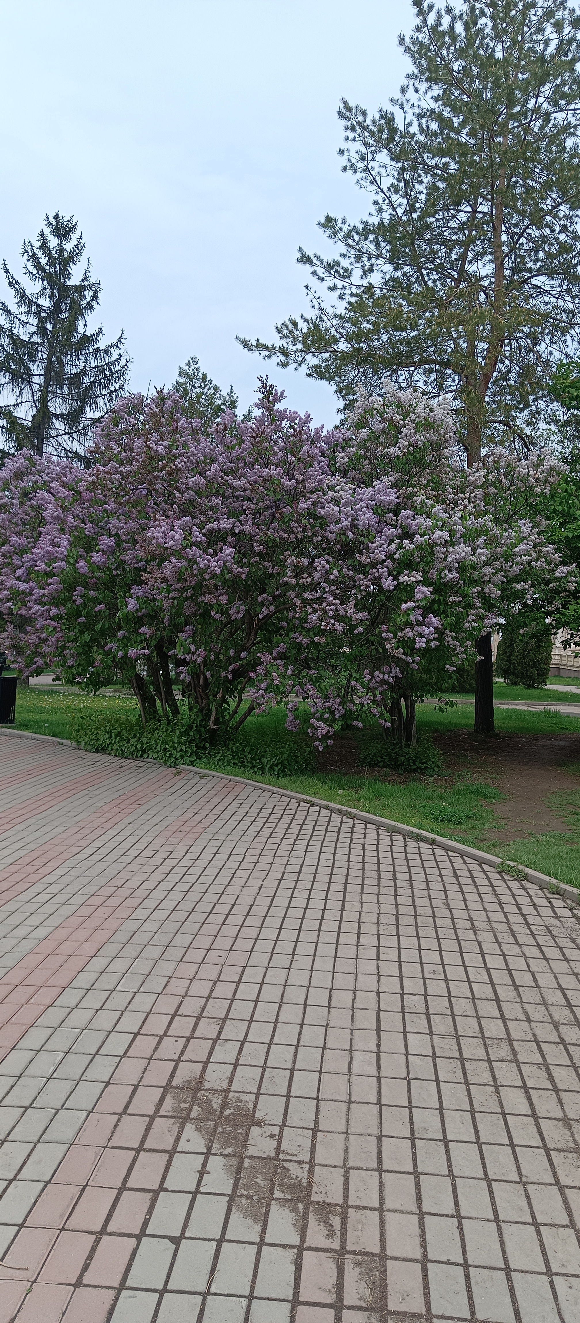 https://upforme.ru/uploads/001c/87/08/3/101907.jpg