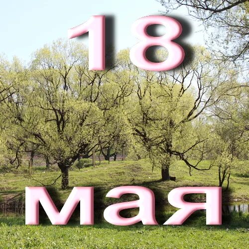 https://upforme.ru/uploads/001c/87/08/3/105537.jpg