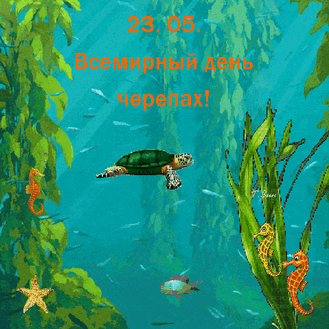 https://upforme.ru/uploads/001c/87/08/3/106054.gif