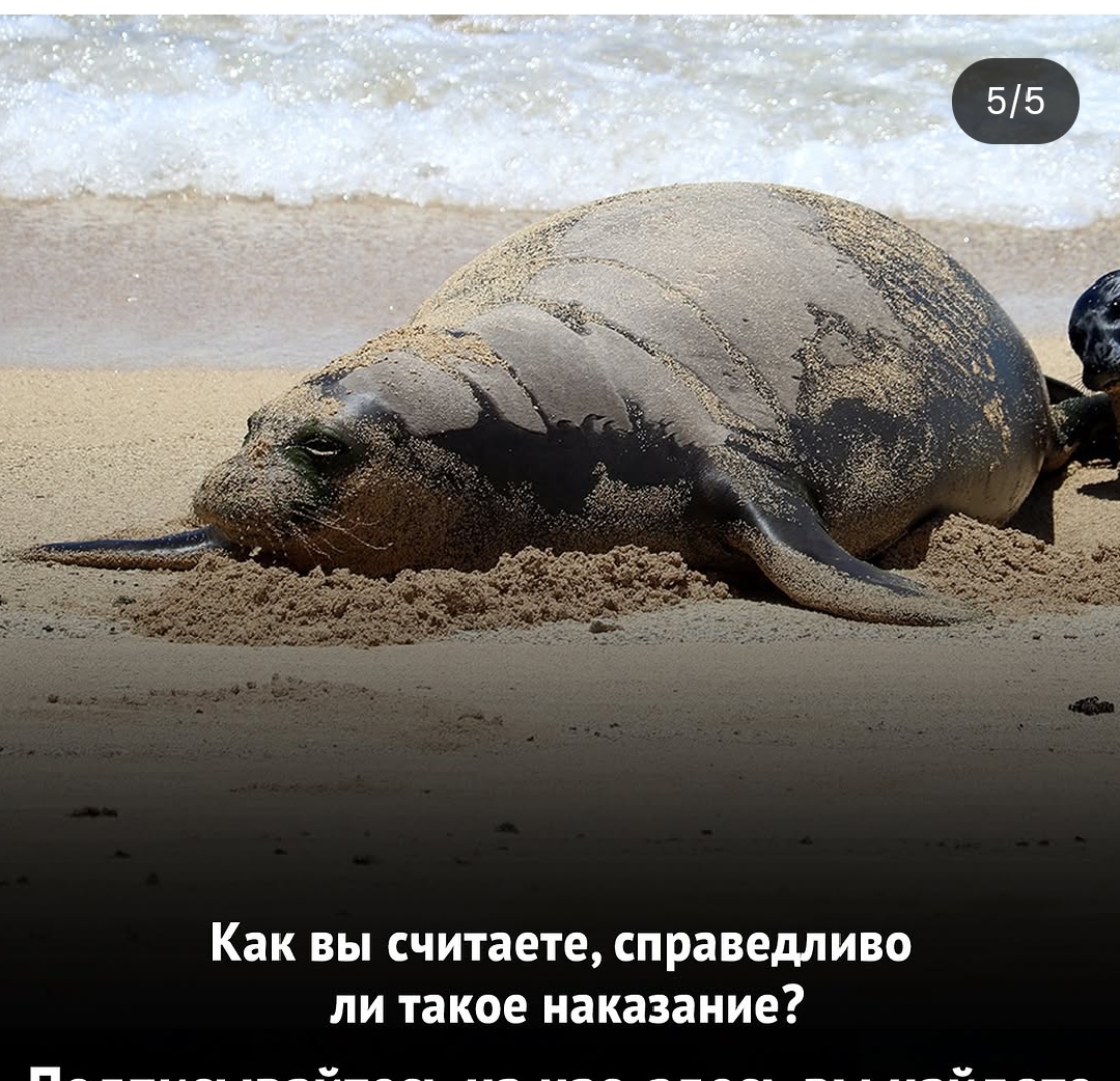 https://upforme.ru/uploads/001c/87/08/3/107330.jpg