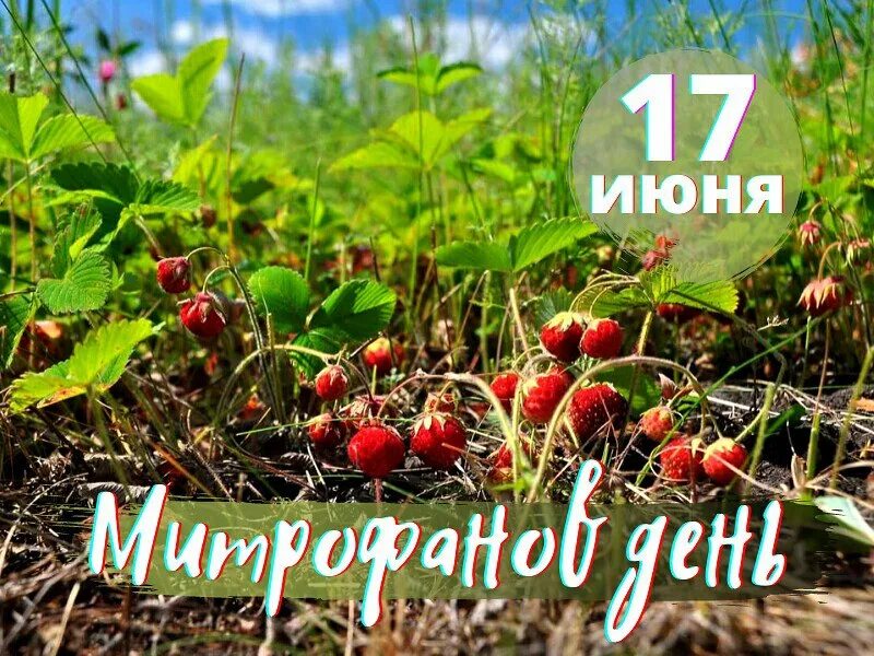 https://upforme.ru/uploads/001c/87/08/3/107784.jpg