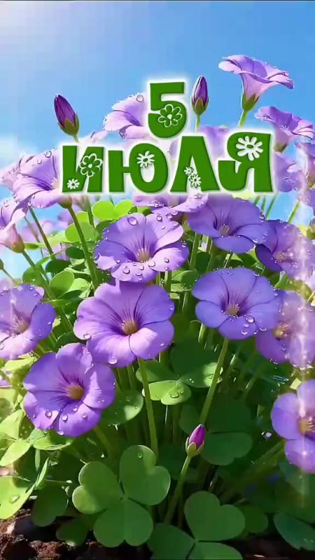 https://upforme.ru/uploads/001c/87/08/3/115991.jpg
