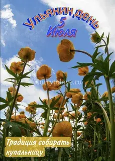 https://upforme.ru/uploads/001c/87/08/3/119114.webp