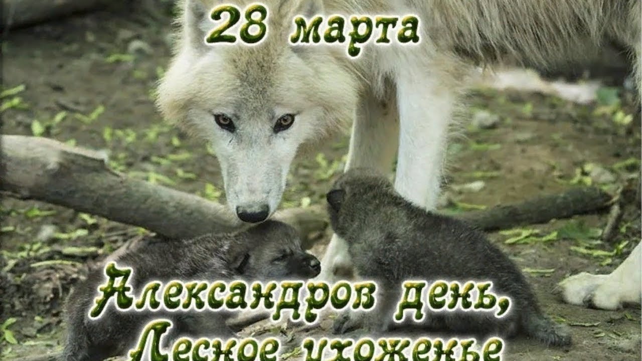 https://upforme.ru/uploads/001c/87/08/3/126240.jpg
