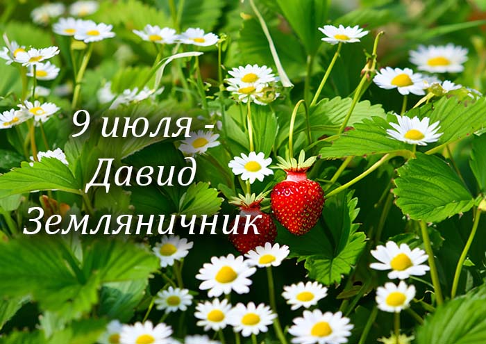 https://upforme.ru/uploads/001c/87/08/3/131468.jpg
