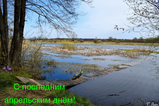 https://upforme.ru/uploads/001c/87/08/3/135649.gif