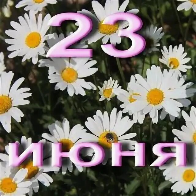 https://upforme.ru/uploads/001c/87/08/3/140169.jpg