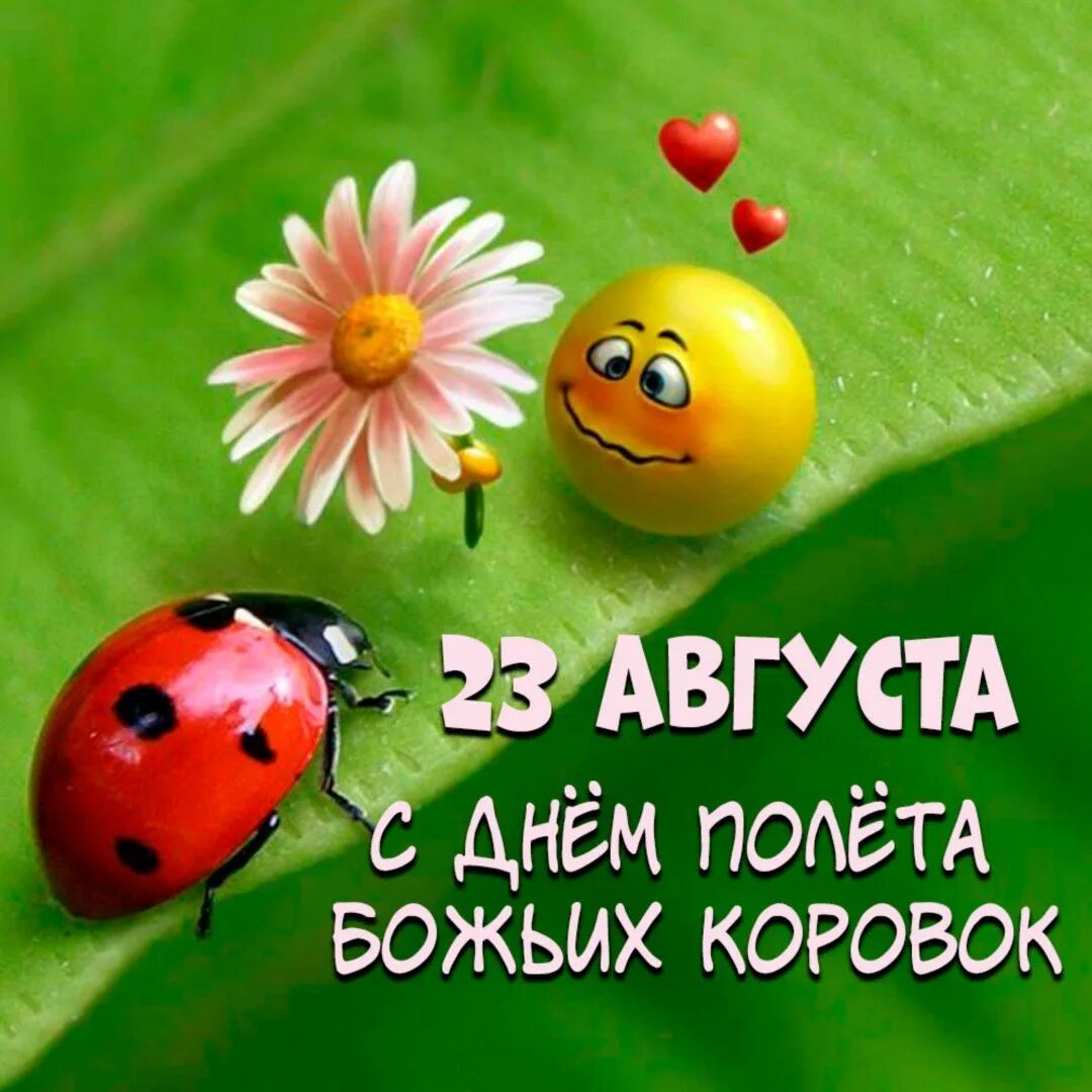 https://upforme.ru/uploads/001c/87/08/3/145651.jpg