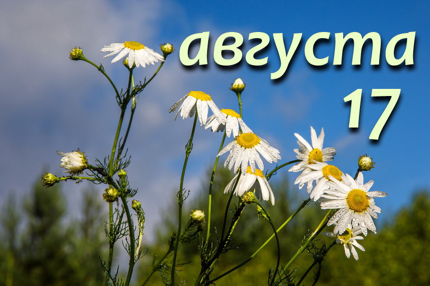 https://upforme.ru/uploads/001c/87/08/3/151477.jpg