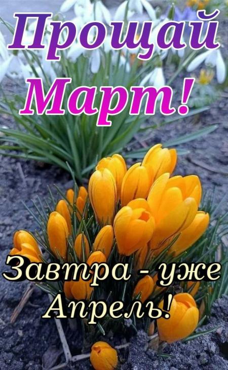 https://upforme.ru/uploads/001c/87/08/3/151574.jpg