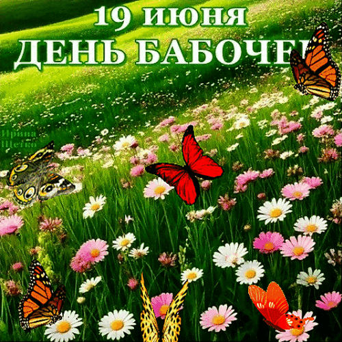 https://upforme.ru/uploads/001c/87/08/3/152016.gif