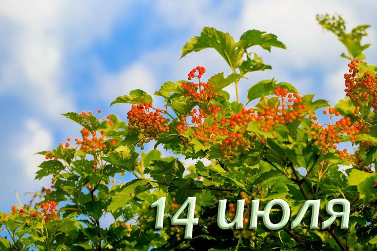 https://upforme.ru/uploads/001c/87/08/3/160481.jpg