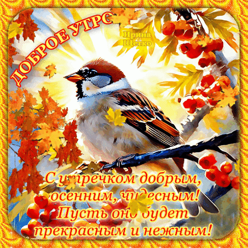 https://upforme.ru/uploads/001c/87/08/3/168785.gif