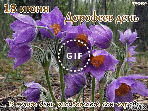 https://upforme.ru/uploads/001c/87/08/3/174420.jpg