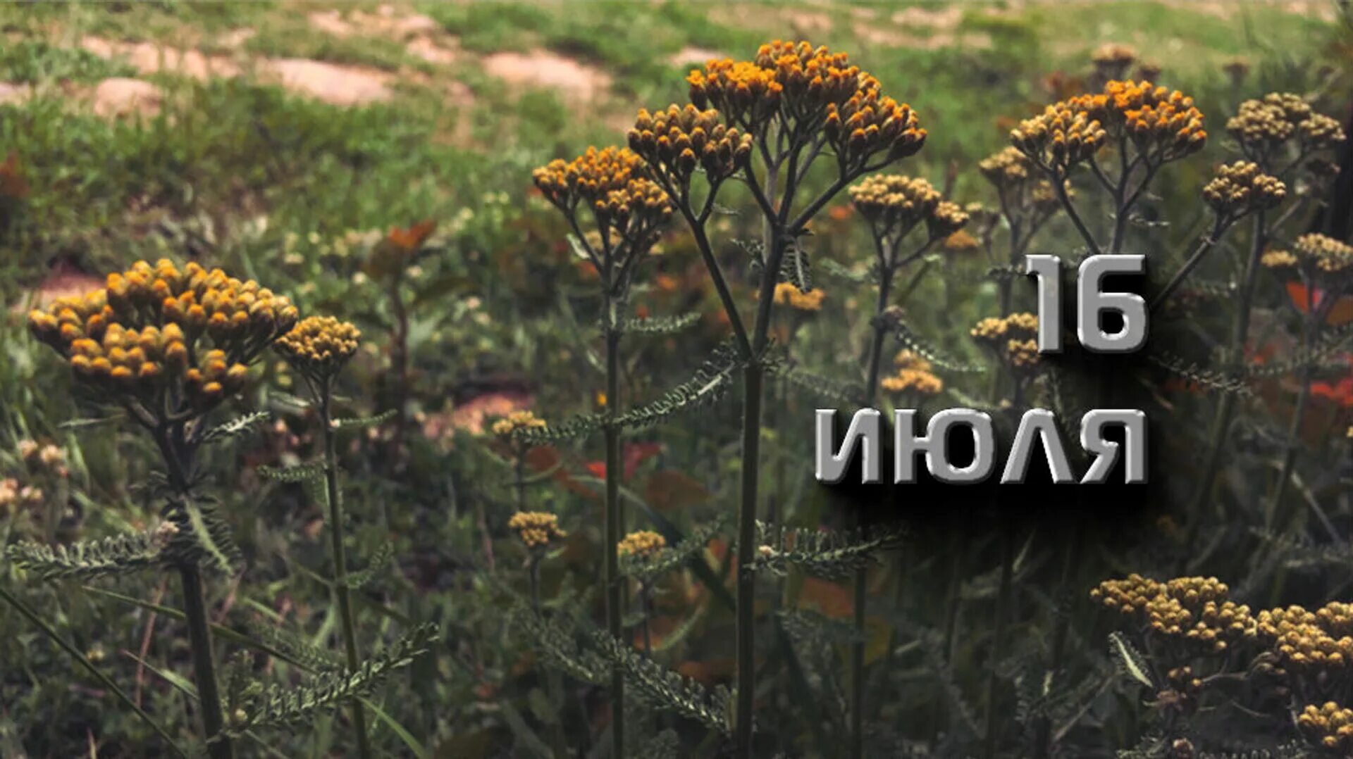 https://upforme.ru/uploads/001c/87/08/3/180789.jpg