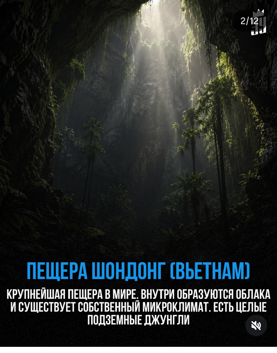 https://upforme.ru/uploads/001c/87/08/3/184124.jpg