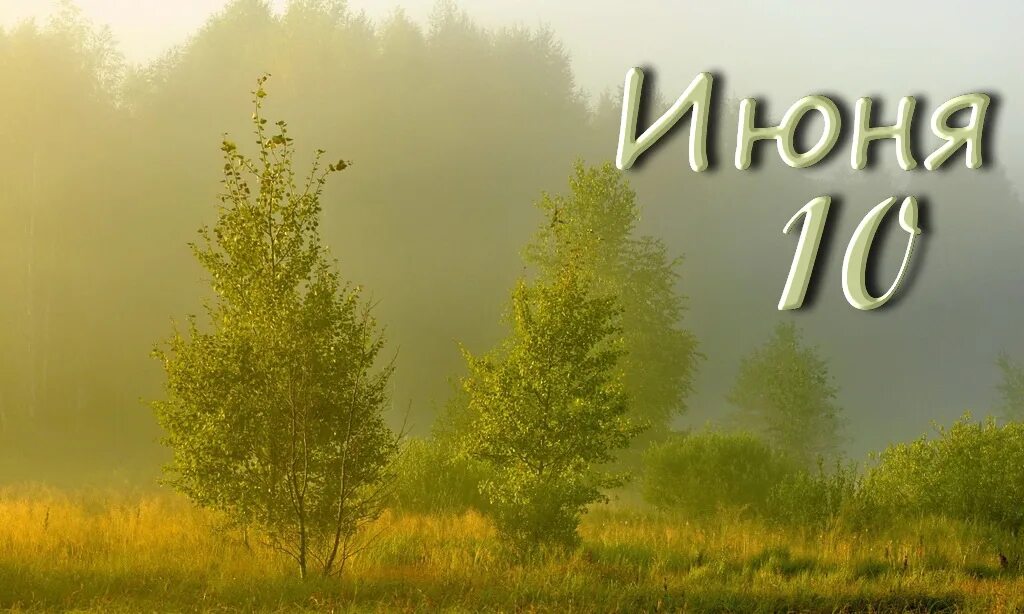 https://upforme.ru/uploads/001c/87/08/3/189804.jpg