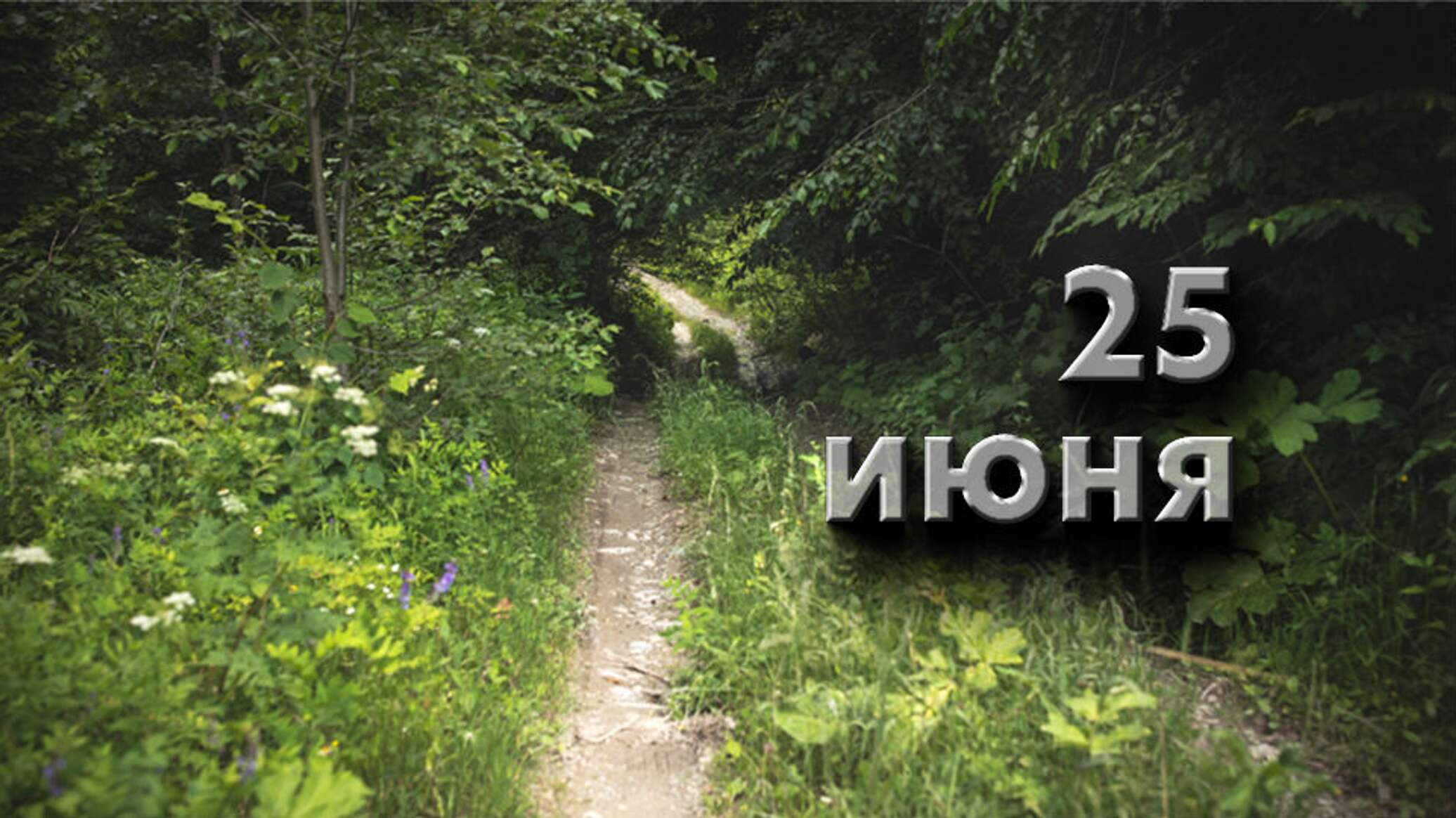 https://upforme.ru/uploads/001c/87/08/3/191938.jpg