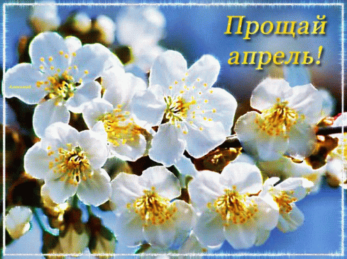 https://upforme.ru/uploads/001c/87/08/3/193902.gif