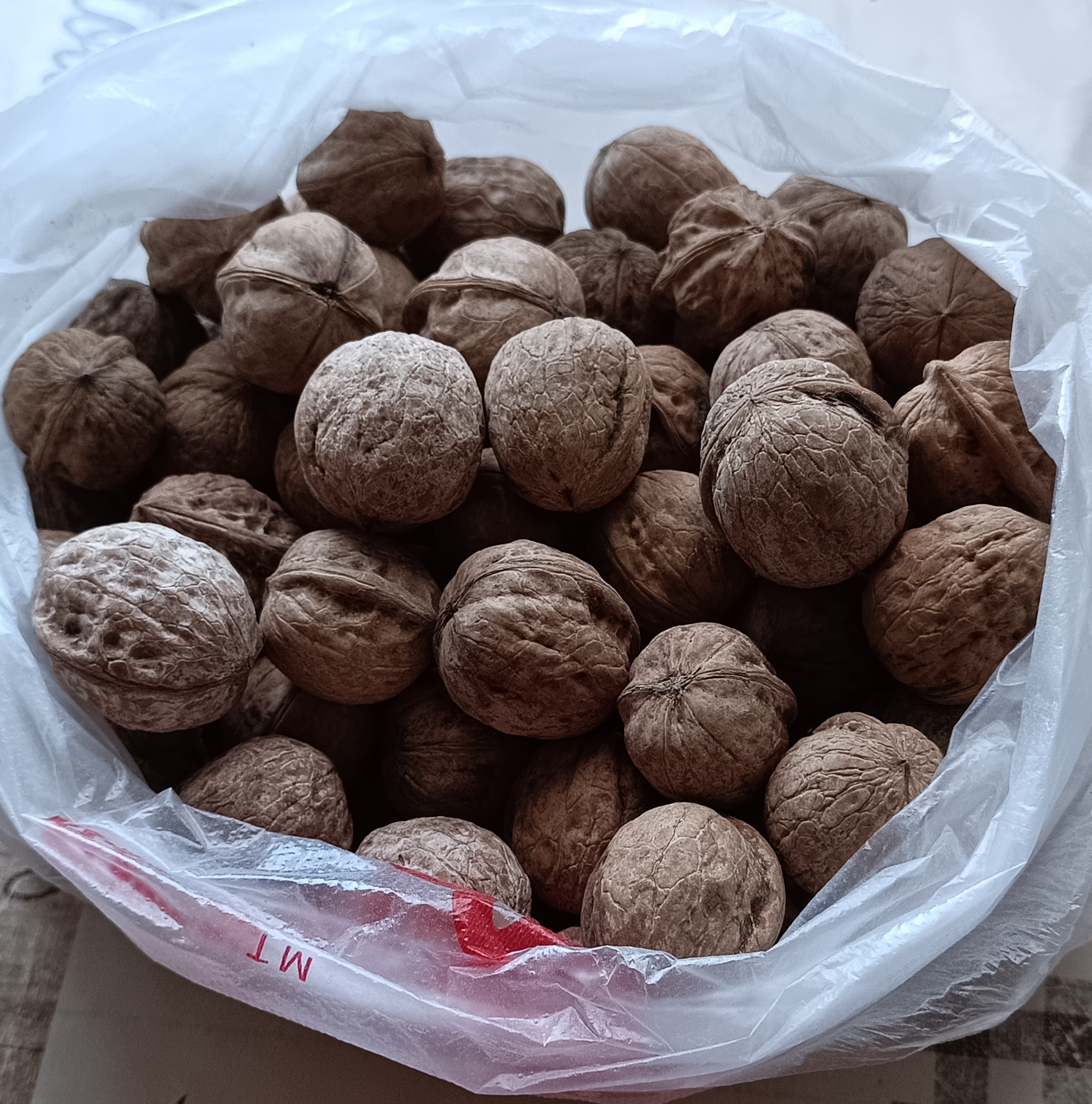 https://upforme.ru/uploads/001c/87/08/3/194769.jpg