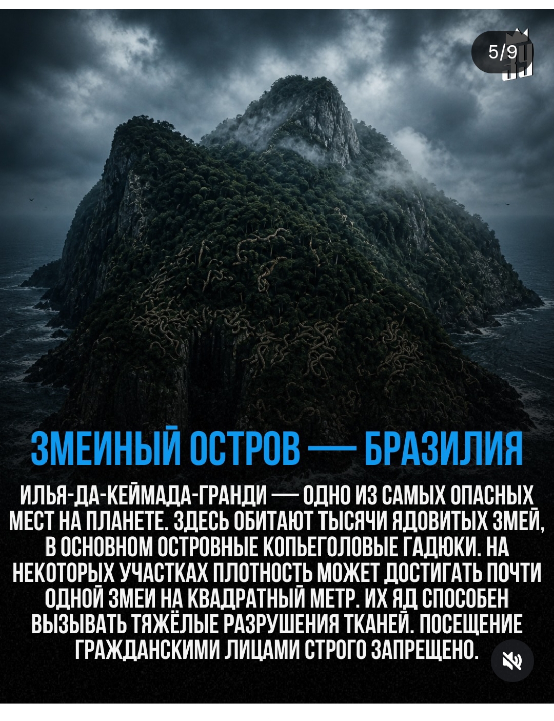 https://upforme.ru/uploads/001c/87/08/3/198051.jpg