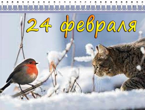 https://upforme.ru/uploads/001c/87/08/3/200579.jpg