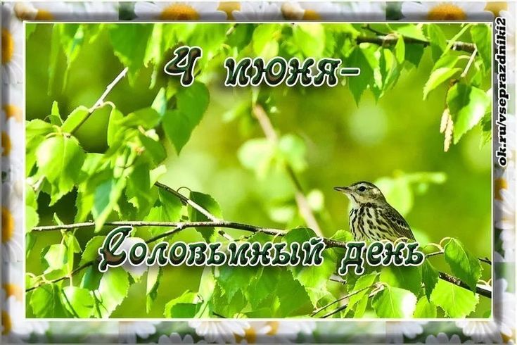 https://upforme.ru/uploads/001c/87/08/3/204066.jpg