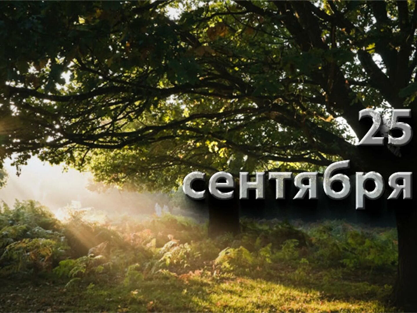 https://upforme.ru/uploads/001c/87/08/3/209211.jpg