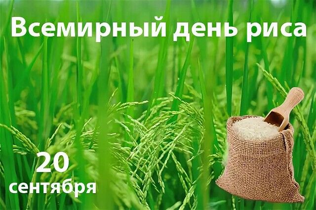 https://upforme.ru/uploads/001c/87/08/3/210865.jpg