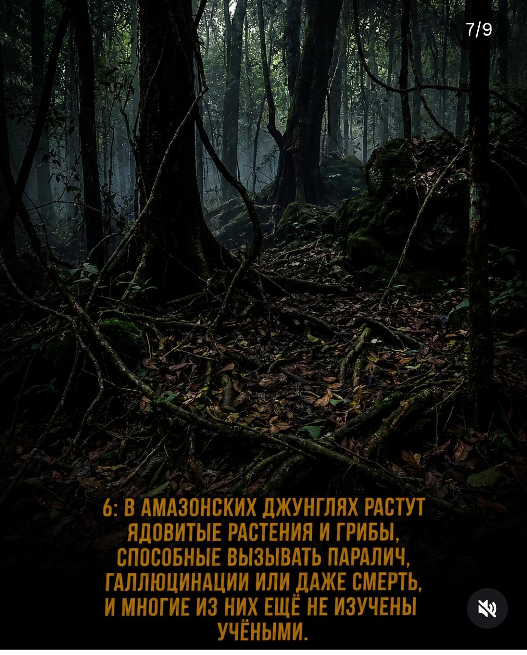 https://upforme.ru/uploads/001c/87/08/3/215832.jpg